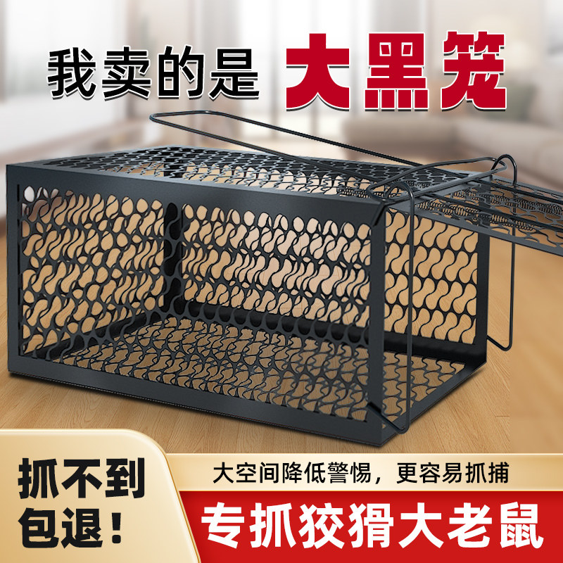 绿净特大号捕鼠笼，真的能一窝端吗？聊聊2026年的捕鼠新神器
