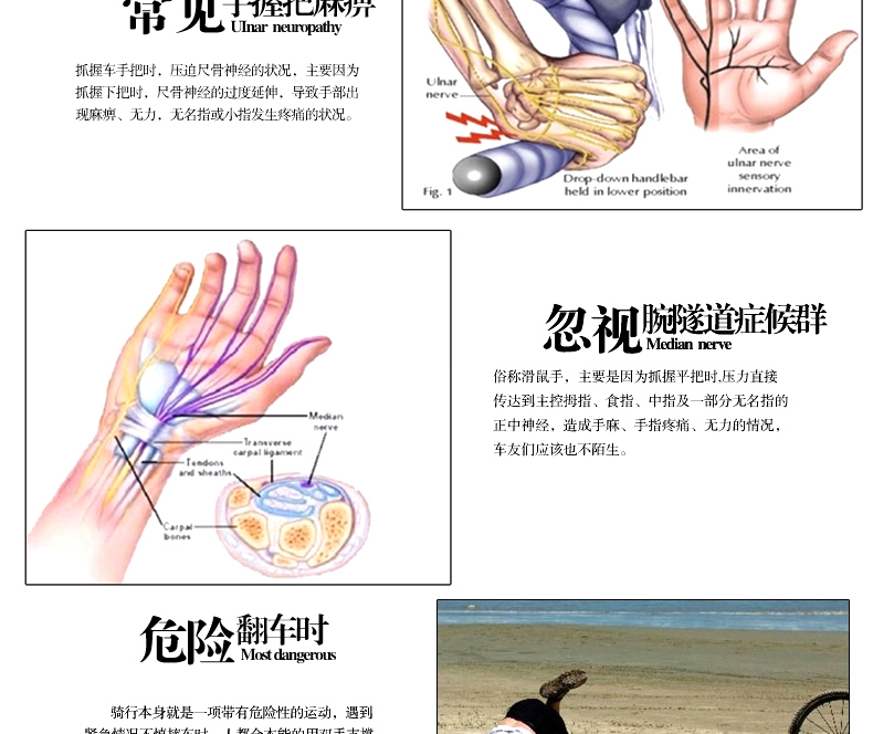 Gants de cyclisme mixte ACACIA - Ref 2247423 Image 9