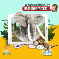 Медведь нилу  a 诖     声 小 小 小 小 小 小 小 小 小 小 小