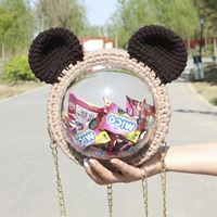 Большое полушария Puma (нефинансированный продукт)