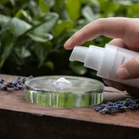 Изоляция лаванды