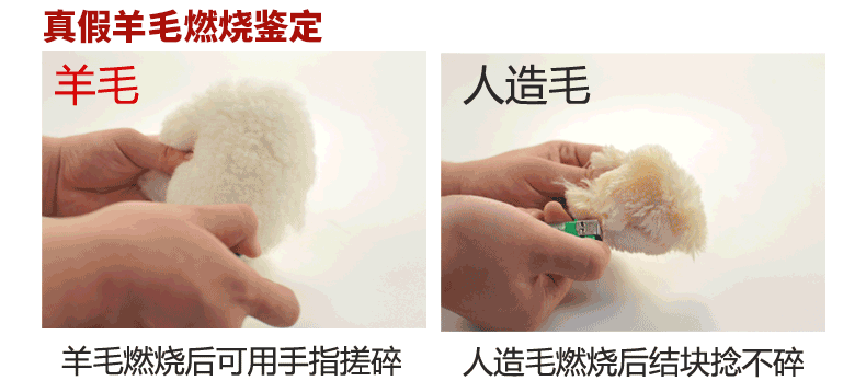 Manteau de fourrure femme AUSFOX     - Ref 3174209 Image 8