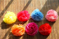 7 цветов наслаждаются цветами