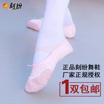 Carved fun ballet shoes Dance shoes Womens soft-soled practice shoes Adult cat claw shoes Female adult childrens yoga body shoes