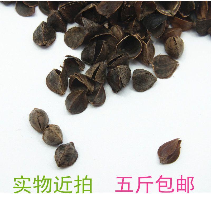 Kiều mạch vỏ số lượng lớn kiều mạch ngọt trấu gối nhiệt độ cao khử trùng rửa đặc biệt trẻ em người lớn cổ gối lõi phụ gối nằm cao su non