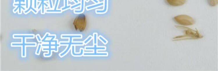 Gu Yu Gối New Shibuya Valley Hazelnut Valley Shibuya Scorpion Trẻ em Người lớn Sức khỏe Gối Gối Gối Filler gối chữ u cho bầu