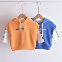 Two sets ~ small childrens clothing boy clothes autumn clothes 2020 new foreign style autumn childrens spring and autumn tide treasure clothes