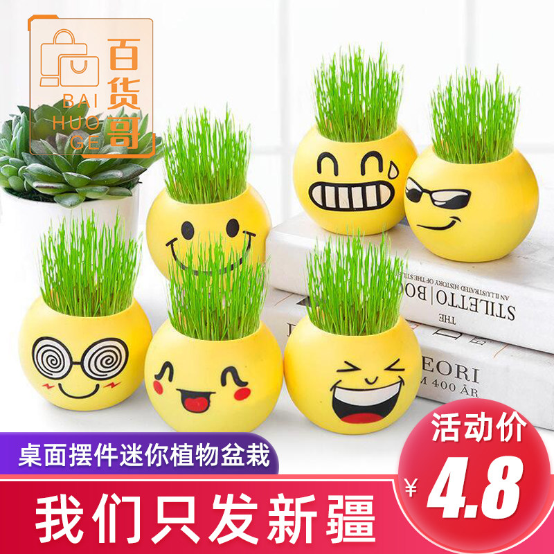 Indoor mini negative ion small potted green plant with seed small grass tabletop hydroponic small grass people angry birds