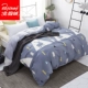 Một chiếc chăn bông B san hô đơn mảnh mùa đông cộng với nhung dày pha lê nhung flannel quilt nhung đơn nam nữ vỏ chăn everon