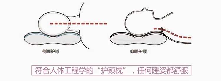 Một cặp] gối nhung Bắc cực lõi hoa oải hương chăm sóc đơn gối ôm cao su non