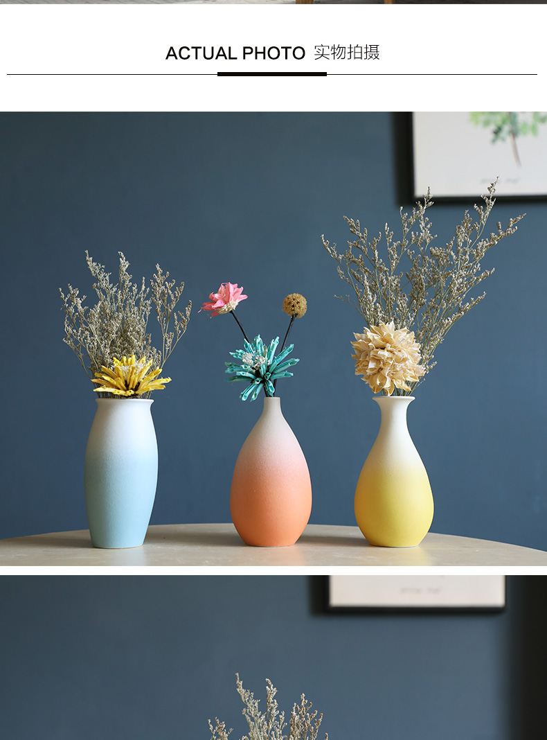 Small pure and fresh and dried flower adornment table furnishing articles Nordic TV ark, desktop ceramic floret bottle of flower arranging house sitting room