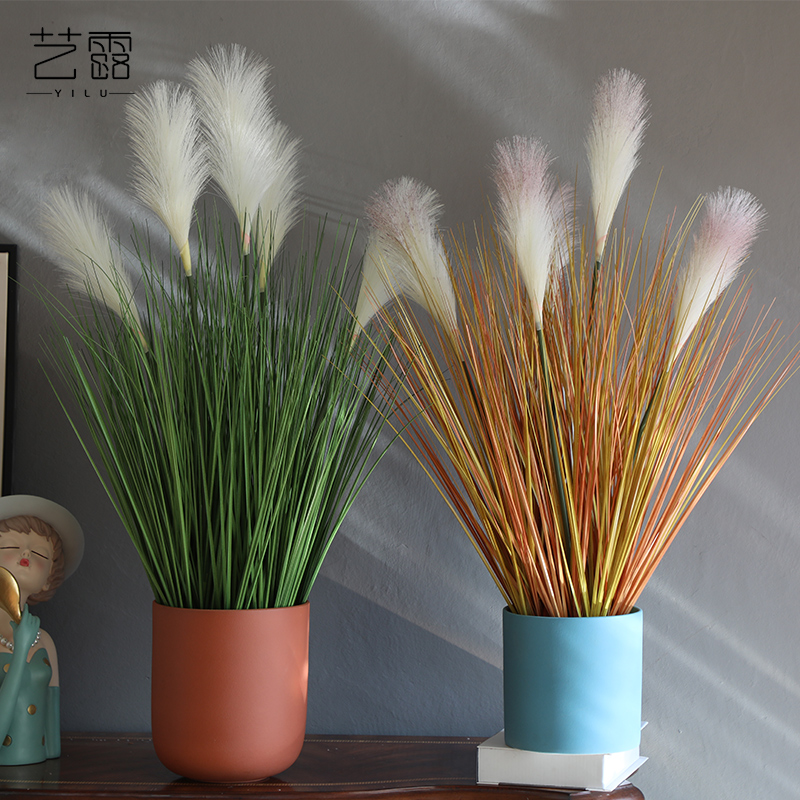 Nordic I and contracted marca dragon fleshy flowerpot ceramic vase of large diameter reed money plant butterfly orchid flower POTS