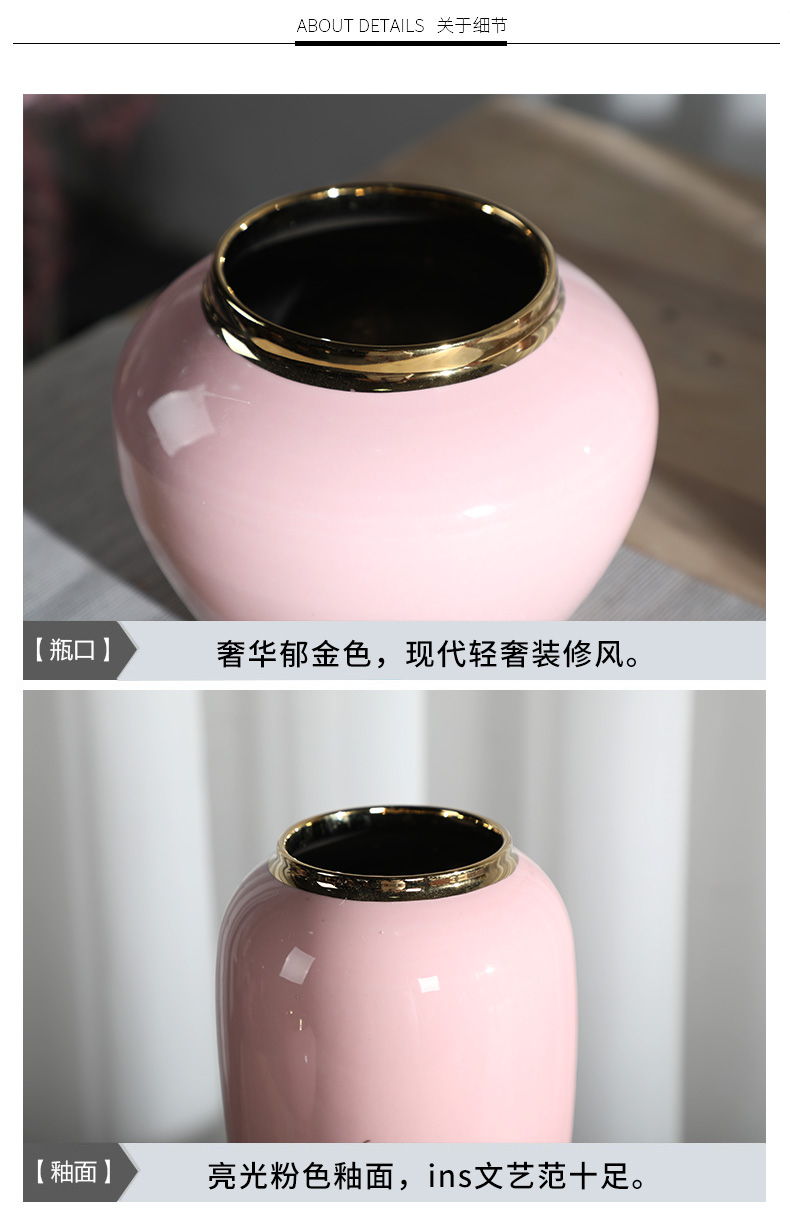 Nordic ins furnishing articles pink ceramic vase dandelion flower arrangement sitting room decoration is contracted and I household adornment