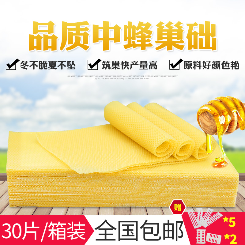 Bee Hive Foundation Beekeeping Hive Foundation Middle Hive Foundation Beehive Foundation Hive Foundation Wax Beehive Honeycomb 30 Pieces