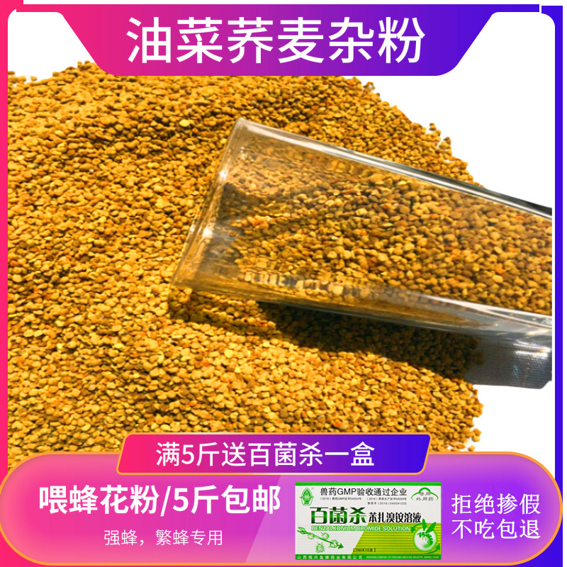 Bee-bee feed pollen bee used to feed bee pollen canola buckwheat mixed powder beekeeping tools quality bee grain