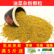 Bee gear bee feed pollen bee feed bee pollen rapeseed buckwheat flour beekeeping tools high-quality bee food