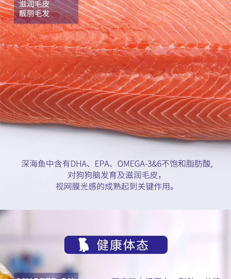 Thức ăn cho chó Isa Ou Jia 20kg chó con thức ăn sữa sữa thức ăn cho chó 10 lông vàng VIP Teddy đấu bò chung 40 kg - Chó Staples mua thức ăn cho chó