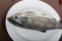 Simulation Xiaoqing Fish Food Model High imitation dishes Food Sample Food Sample Fake Display Profile New Toys