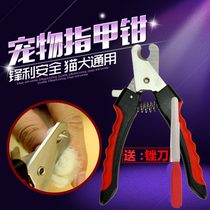  Pet supplies Pet nail scissors (free file) Size dog cat Nail scissors Nail clippers