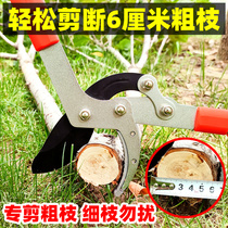 Pruning Fruit tree pruning shears horticultural pruning branches garden labor-saving repair rough shears household tools scissors artifact