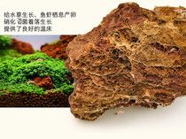 Fish tank Maple Leaf Stone Water Grass Scenery Stone Aquarium Chishi Stone View Stone Landscape Stone Landscape Stone