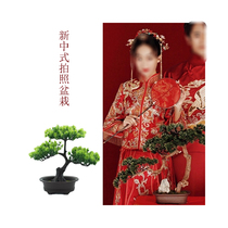 New Chinese photo props potted pine simulation classical Xiuhe Chinese style costume shooting ornaments green plants