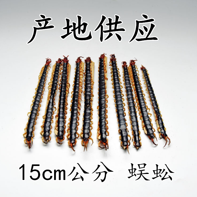 Centipede foot large bar 15cm cm = 3 5 Yuan centipede dried centipede leather red head centipede centipede