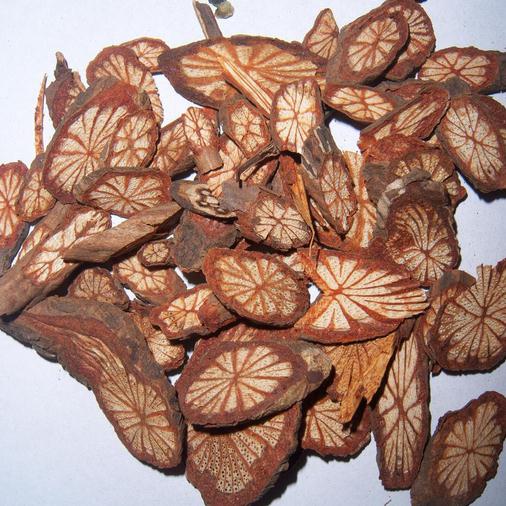 Red Vine 5 Cati of large blood vines Vine Large Stem of Herbal Medicinal Herbs 500 gr g