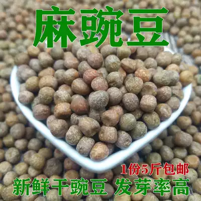 Peas fresh dried peas raw peas raw peas hair pea sprouts hair sprouts sprouts sprouts 5kg