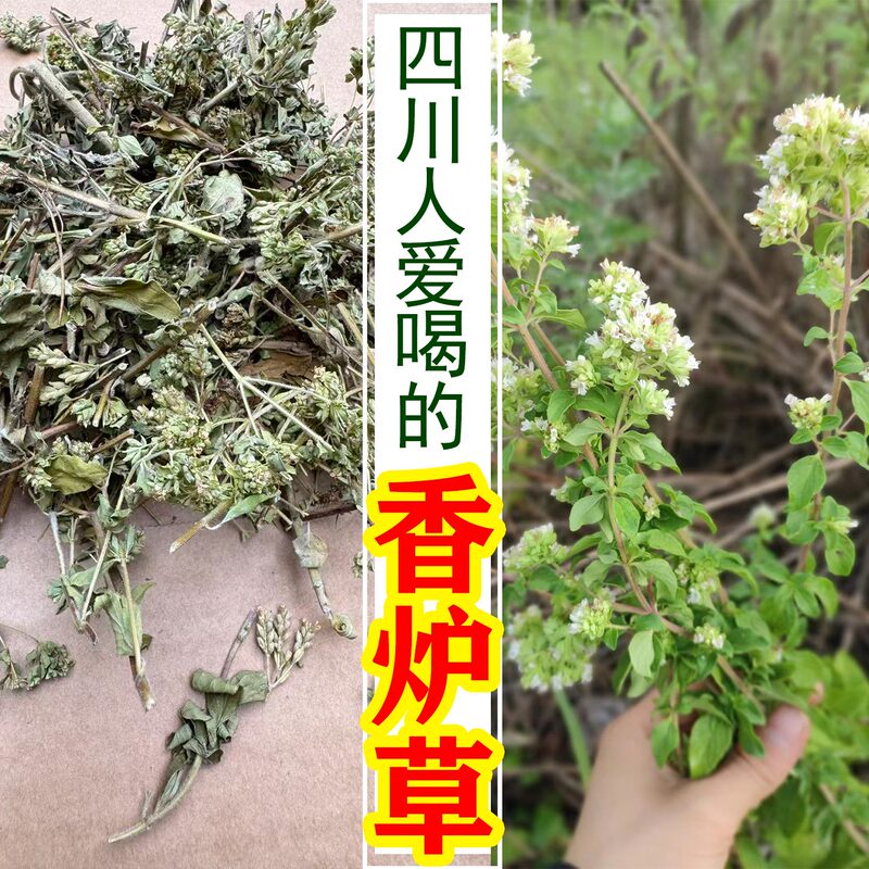 Sichuan Incense Grass, Fragrant Tea, Incense Cage Tea, Incense Burner Tea, Fragrant Dragon Grass, New Fragrant Grass, Sun-Dried Sichuan Incense Grass, Fragrant Tea, Incense Cage Tea, Incense Burner Tea, Fragrant Dragon Grass, New Fragrant Grass, Sun-Dried