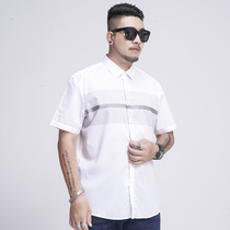 Extra-large men casual cotton short sleeve shirt plus fat plus size fat guy loose shirt fat half sleeve tide