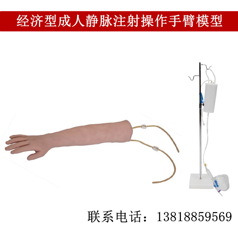 高级手臂静脉穿刺训练模型输液输血手臂模型 手臂采血模型
