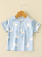Boys' Silk Suit, Mulberry Silk Children's Short-Sleeved Top and Shorts, Stylish Summer Outfit, Baby Two-Piece Suit, Thin Style