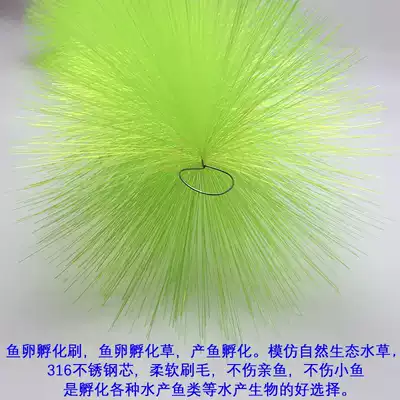 锦鲤产卵草金鱼鱼卵孵化毛刷 孵化草鱼卵着床水产养殖鱼 锦鲤产卵草金鱼鱼卵孵化毛刷 孵化草鱼卵着床水产养殖鱼