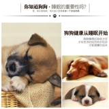 Кошачья гнездо и собачье гнездо лето прохладное и закрытое плюшевое бездомное гнездо кошачья гнездо открыто кошачья дом роскошная принцесса