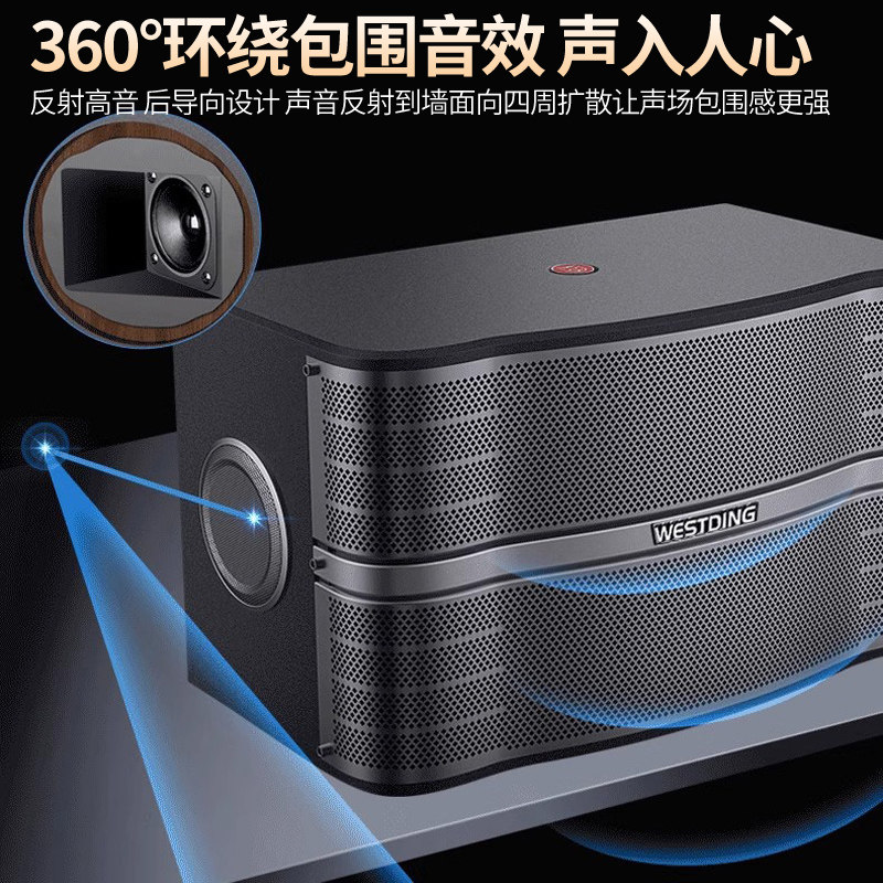 Westin Family Ktv Audio Professional Singing Karaoke Conference Room 10inch Karaoke Speaker Home K-Song Equipment
