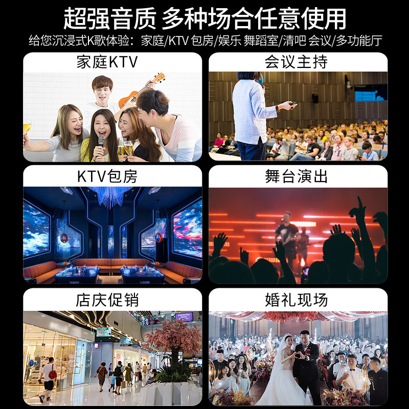 Westin Family Ktv Audio Professional Singing Karaoke Conference Room 10inch Karaoke Speaker Home K-Song Equipment