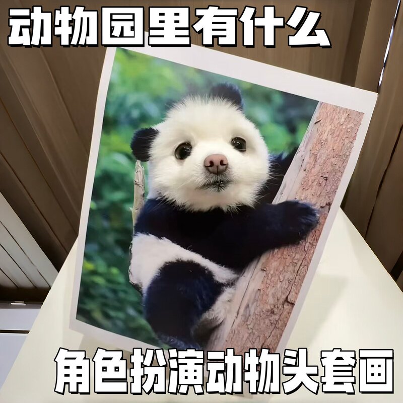 Pet Decorative Paintings: What Creative Ideas Are There for the Zoo? Cosplay Paintings of Kittens and Puppies, Headgear, and Props Pet Decorative Paintings: What Creative Ideas Are There for the Zoo? Cosplay Paintings of Kittens and Puppies, Headgear, and Props