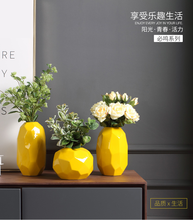 European contracted and I creative decoration decoration flower household ceramic vase furnishing articles sitting room TV cabinet dry flower arranging flowers