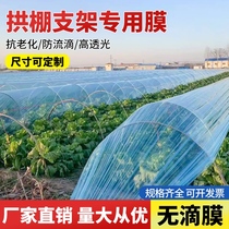 Type Légumes Petit Arch Shed Plastic Film Agricultural Cultivation Greenhouse Without Drop Film Transparent Plastic Cloth Vegetable Greenhouse Insulation Film