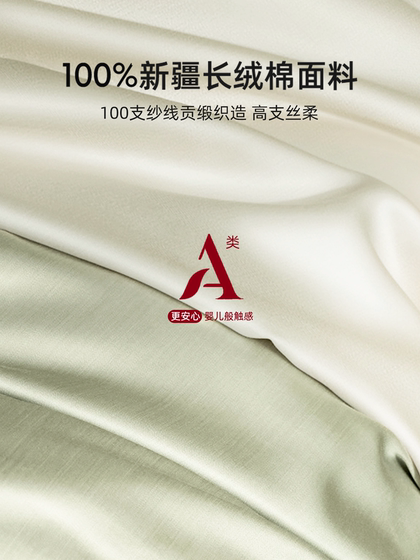 100-Count Satin Bedding Four-Piece Set, Pure Cotton, 2026 New Model, Duvet Cover, Bed Sheet, Light Luxury, High-End Feel, Class a Bedding