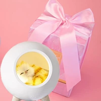 Маленький домашний дом 【Белый+подарочная коробка】