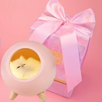 Маленький домашний дом 【розовый+подарочная коробка】