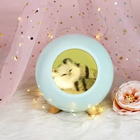 Маленький домашний домашний голубой [Электричество]+Колорево бумажная упаковка+карта+сумка для кожи