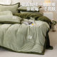 Yalu Removable and Washable Milk Velvet Quilt 2024 New Winter Cotton Quilt Core Winter Bedding Thickened and Warm