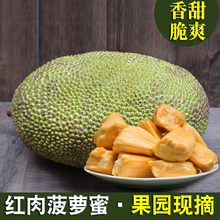 39.9元包邮 熟果甜 越南进口红肉菠萝蜜 6-8斤