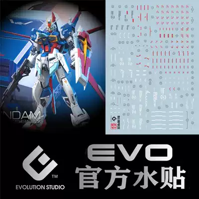 (EVO)RG ZGMF-X56S alpha Pulse up to air combat type power type (fluorescent) dedicated water patch