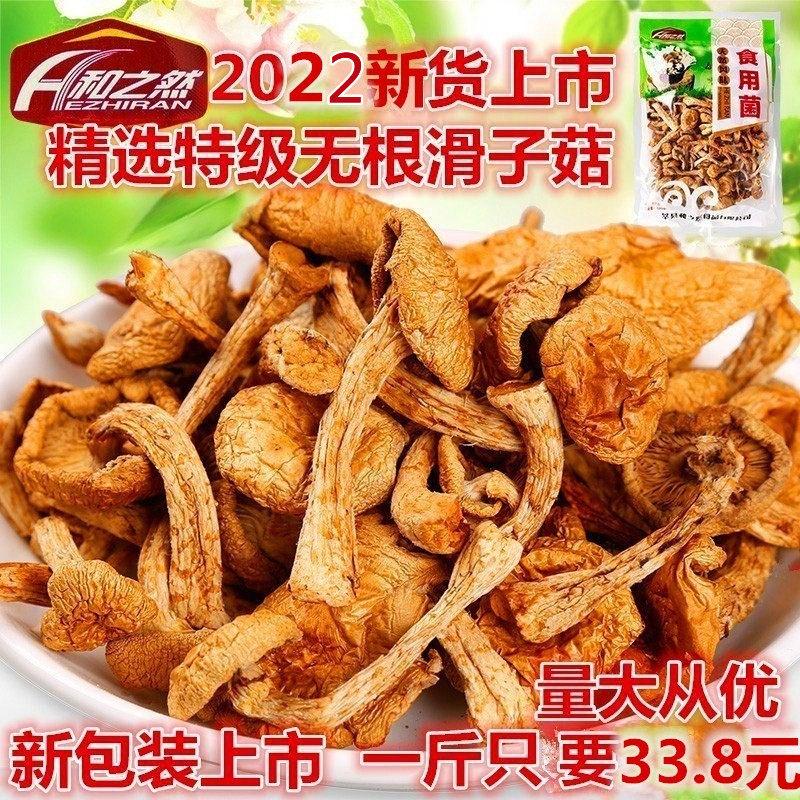 Northeast Daxing Anling wild slide Mushrooms Dry Goods Small Yellow Grinding Mushrooms Mushrooms Small Chicken Stew Mushrooms 500 gr