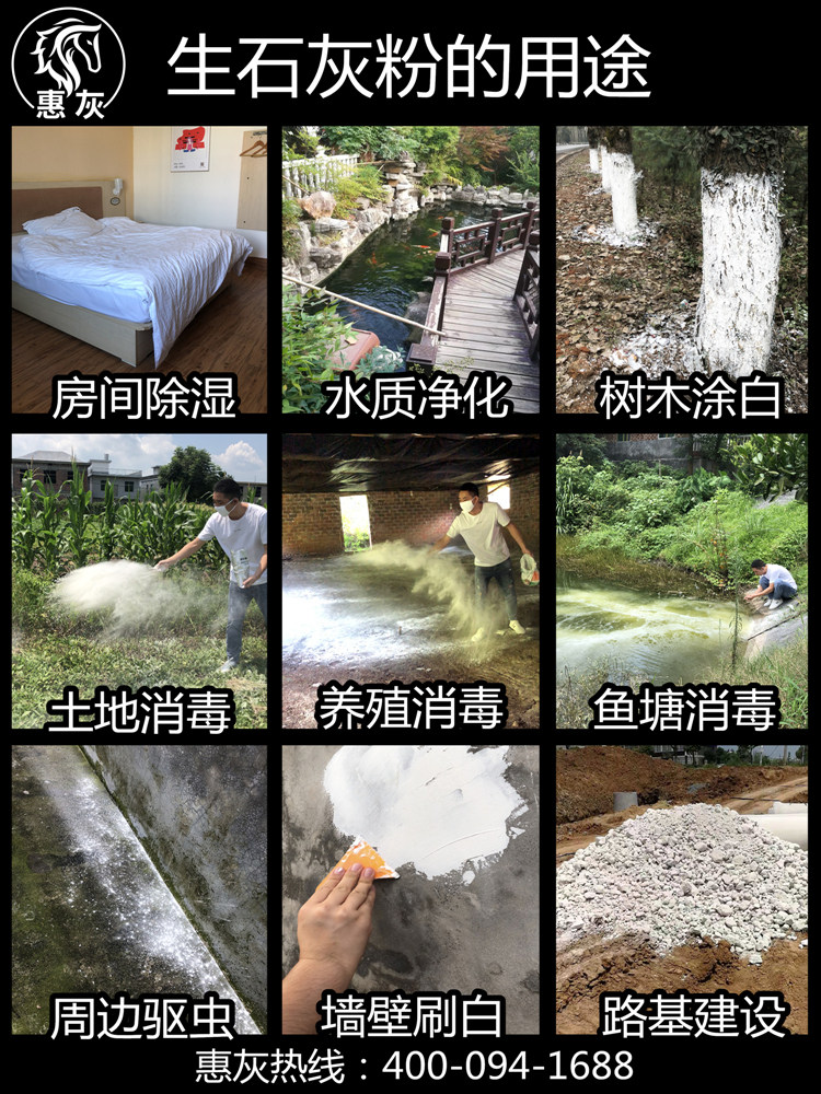 Quicklime powder block 10 kg desiccant sterilization dehumidification Moisture-proof mildew deodorization deworming water purification white ash brush tree