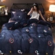 Mùa đông dày gia đình ấm áp nhung san hô bốn luật Levin cashmere flannel tấm hai mặt quilt giường 1.8m - Bộ đồ giường bốn mảnh